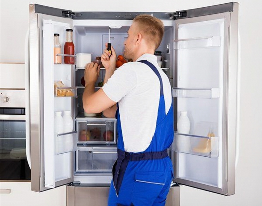 fridge 2